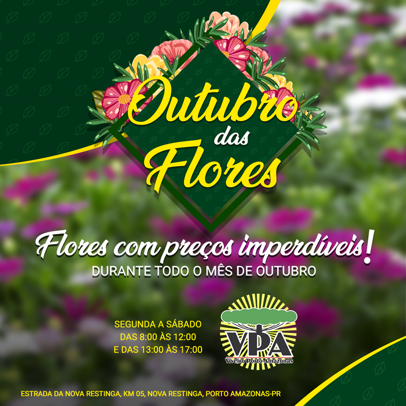 Outubro das flores - VÃ¡rias promoÃ§Ãµes de flores 